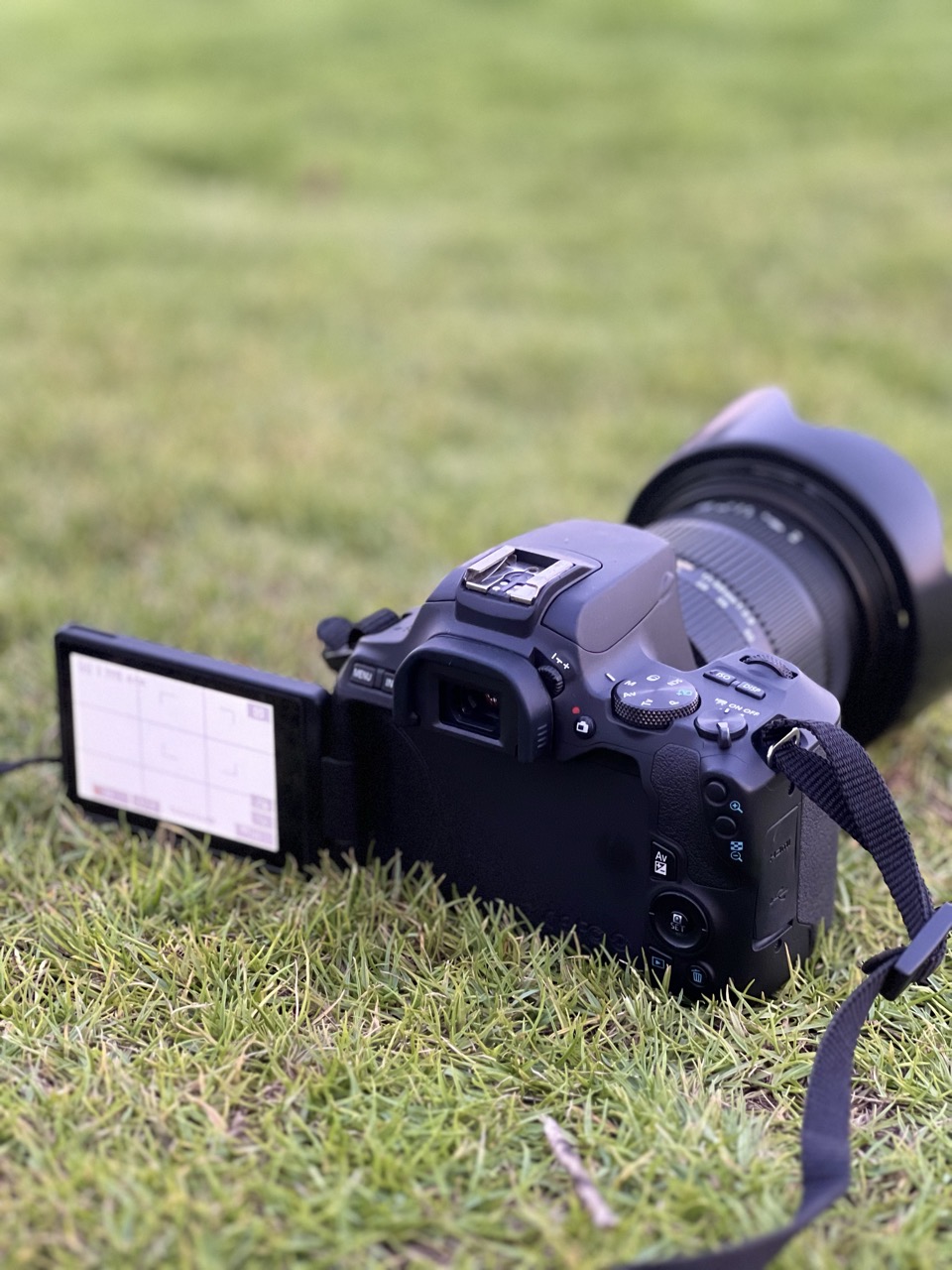 Canon 250D